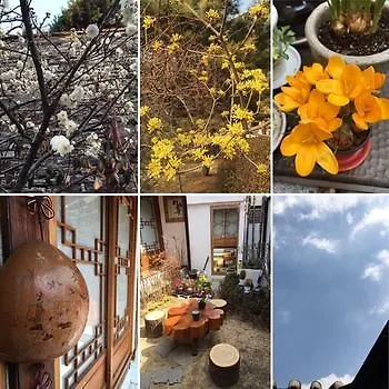 Usimdang Hanok Guesthouse Seul 2*,